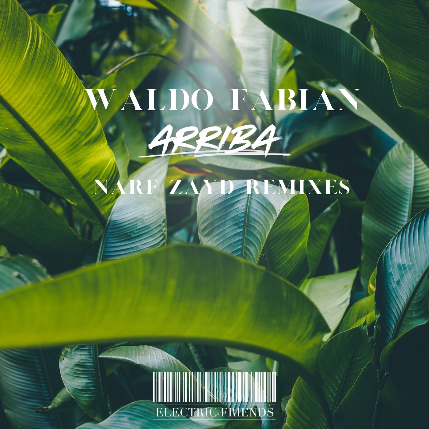 Cover - Waldo Fabian - Arriba (Narf Zayd Latin Mix)