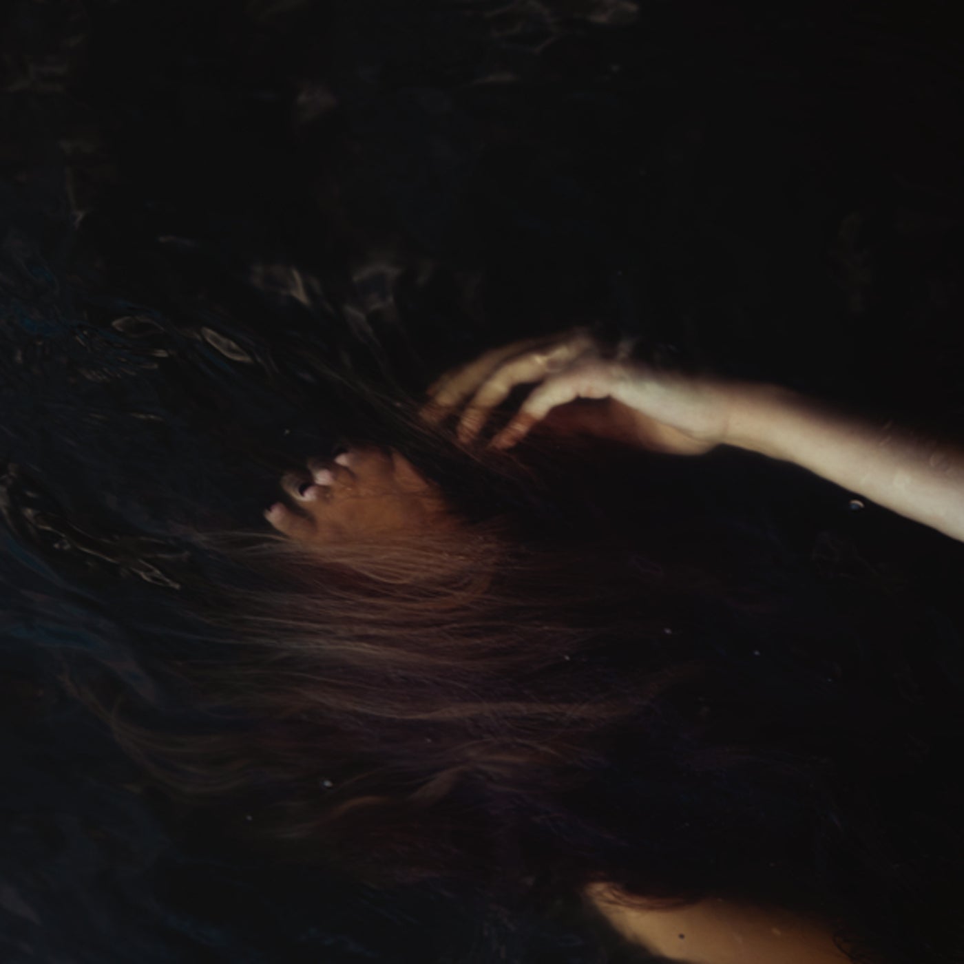 Cover - Rose Ringed - Climbing (Original Mix)