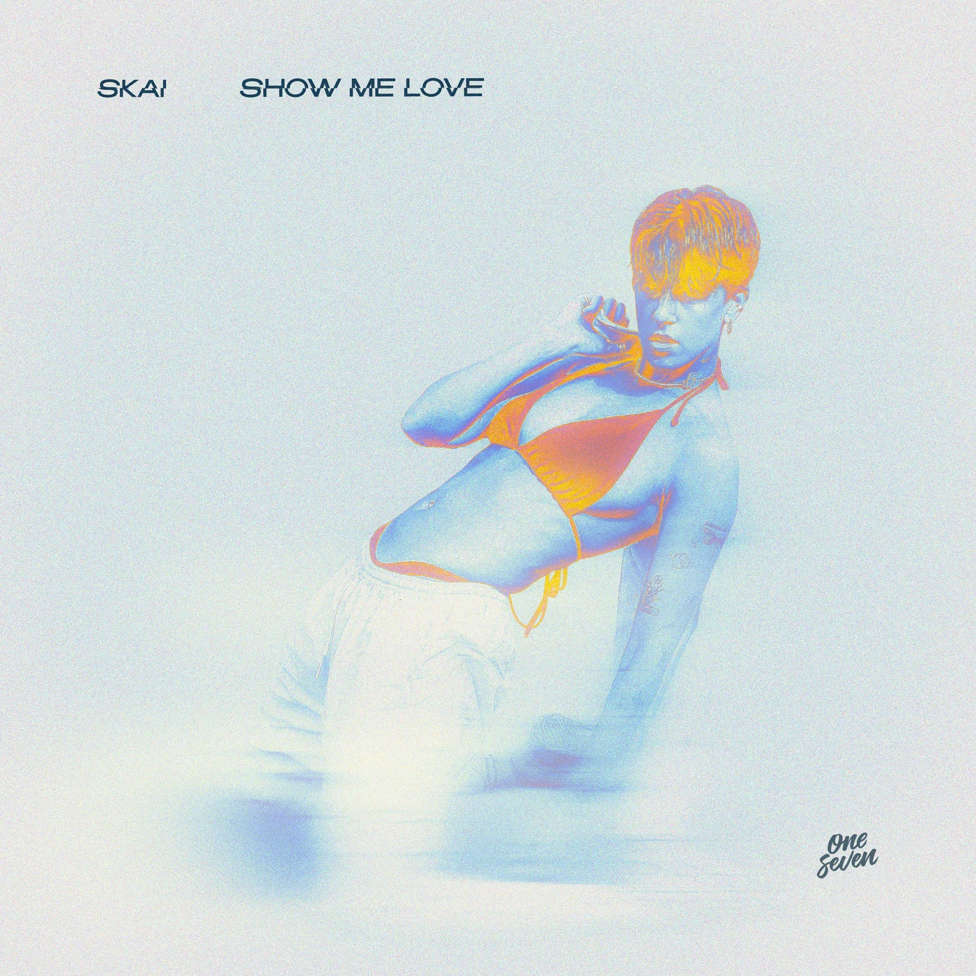 Cover - Skai - Show Me Love (Extended Mix)