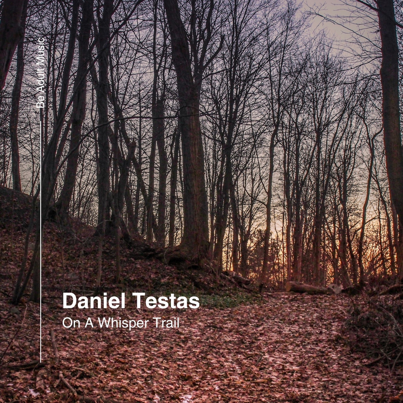 Cover - Daniel Testas - On A Whisper Trail (Original Mix)