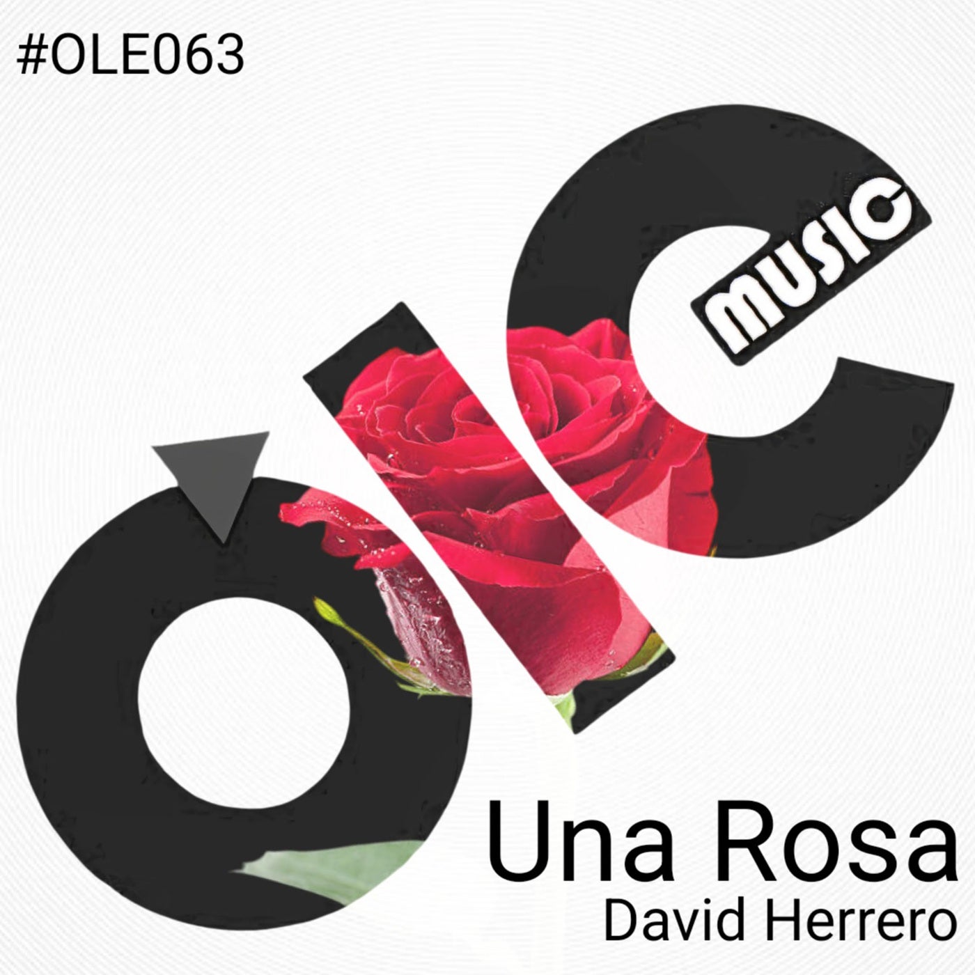 Cover - David Herrero - Una Rosa (Instrumental)