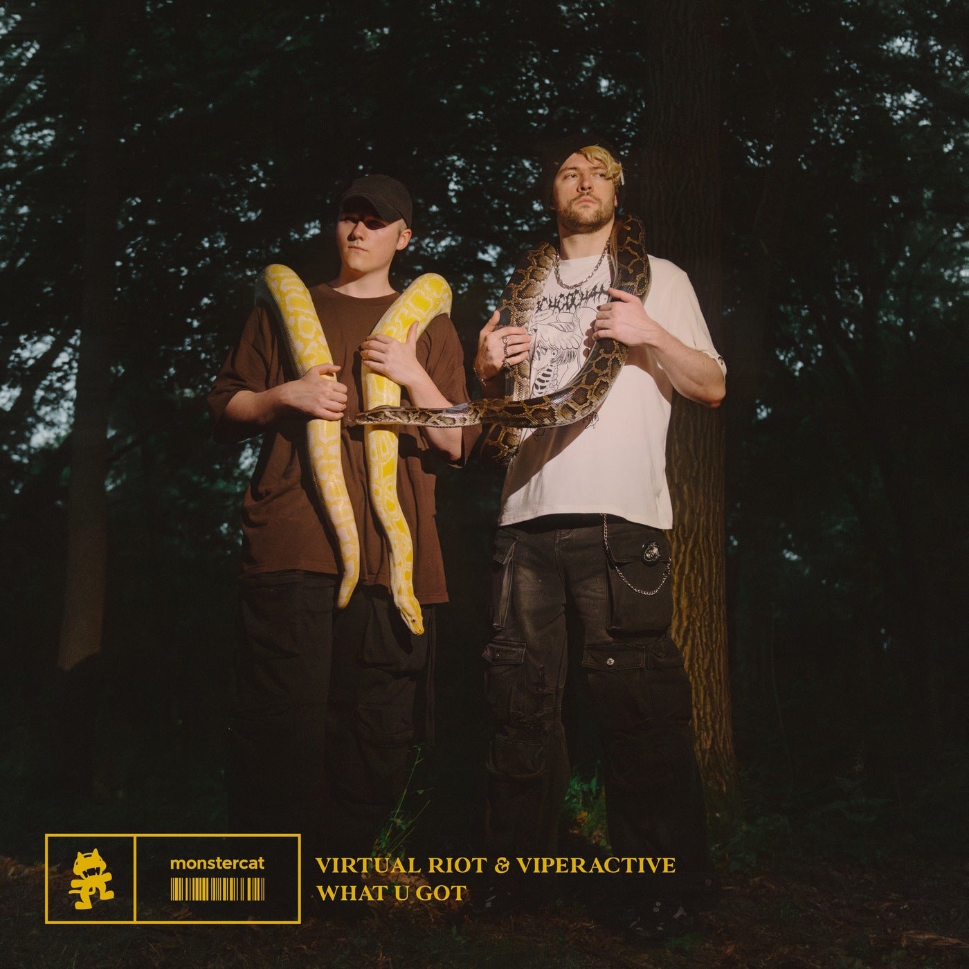 Cover - Virtual Riot, Viperactive - What U Got (Original Mix)