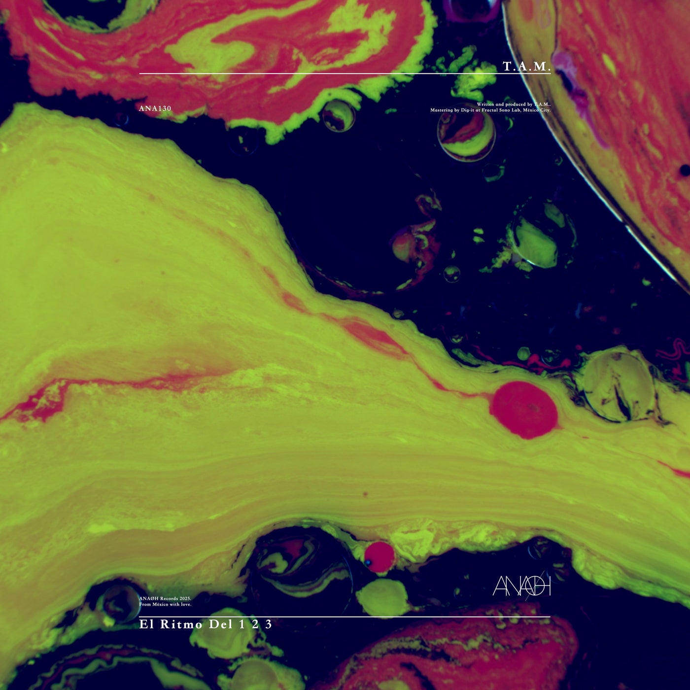 Cover - T.A.M - El Ritmo del 1 2 3 (Original Mix)