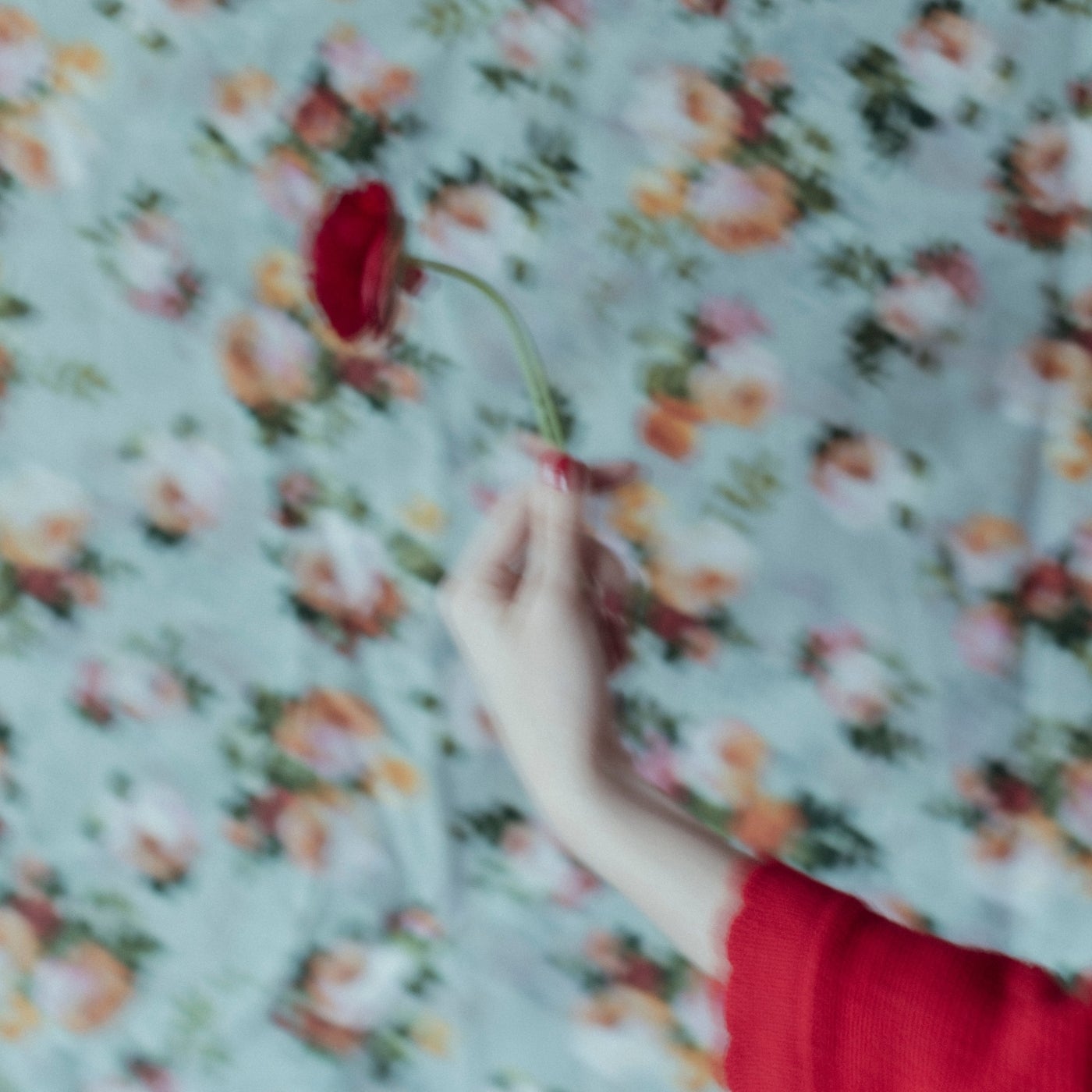 Cover - D-Leria - Alba (Original Mix)