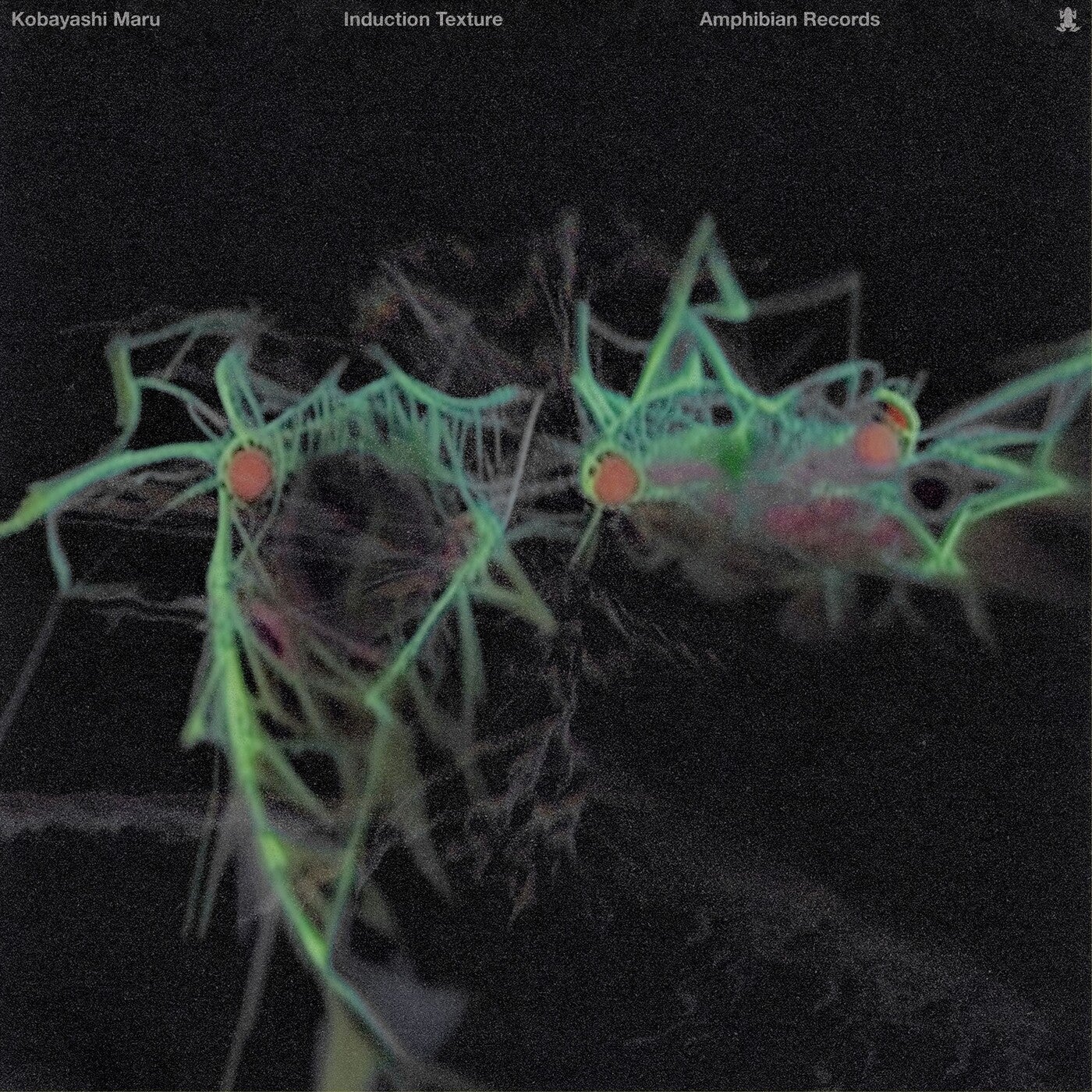 Cover - Kobayashi Maru - Huorn (Abo Abo Remix)