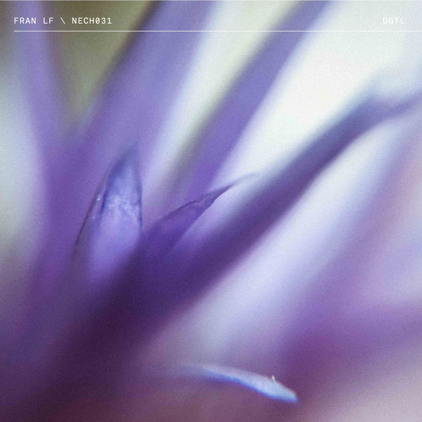 Cover - Fran LF - Hymn (Original Mix)