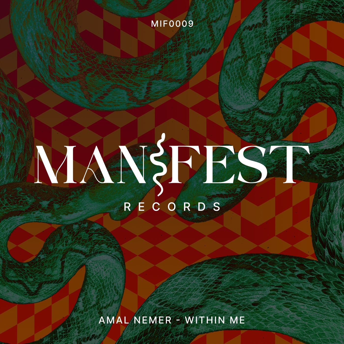 Cover - Amal Nemer - Within Me (Original Mix)