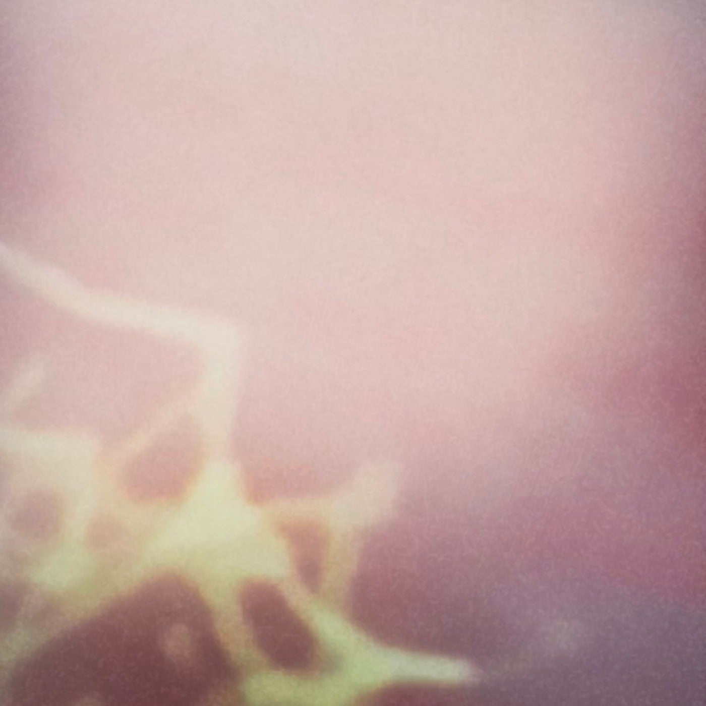 Cover - Vhyce - Again Through Fear (Original Mix)