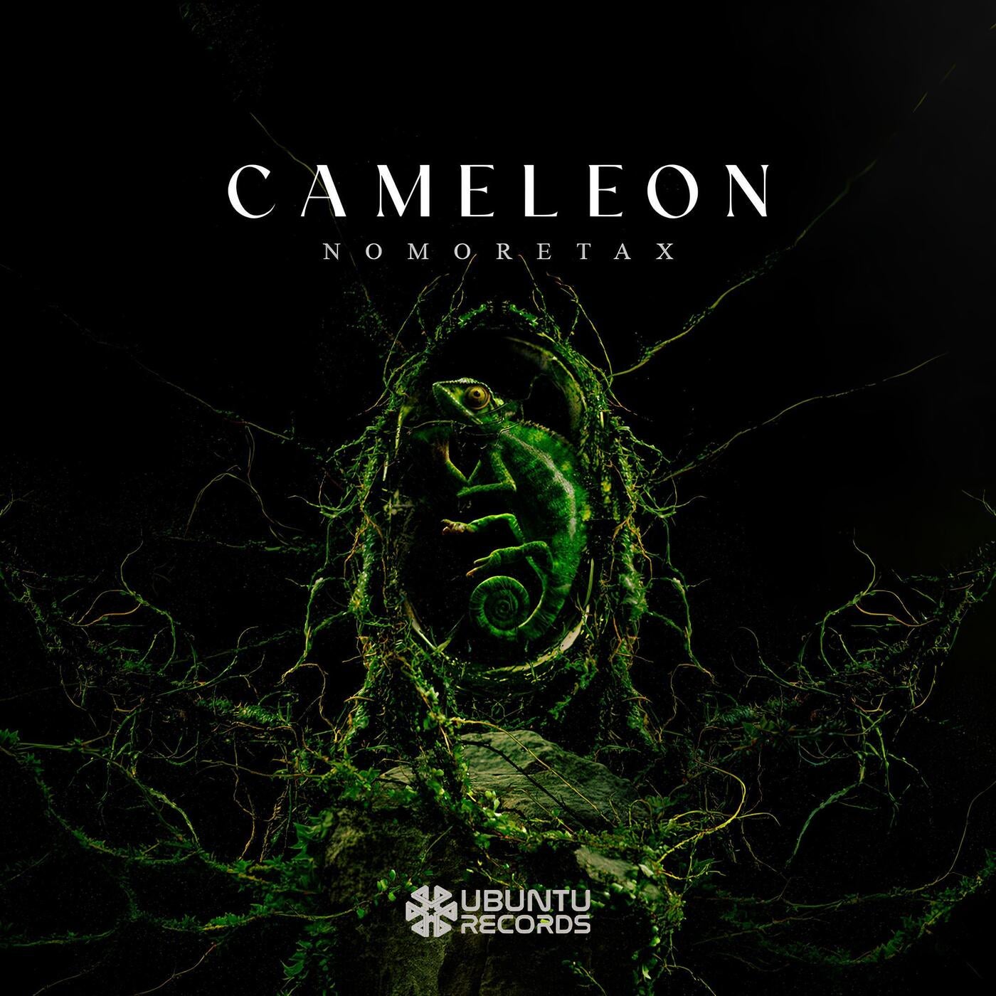 Cover - Nomoretax - Cameleon (Original Mix)