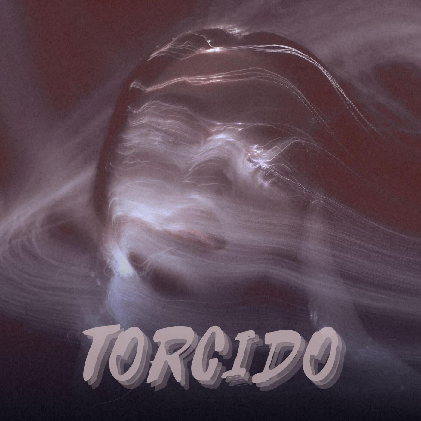 Cover - GEWOONRAVES, FHNX, 808Donkey - TORCIDO (Original Mix)