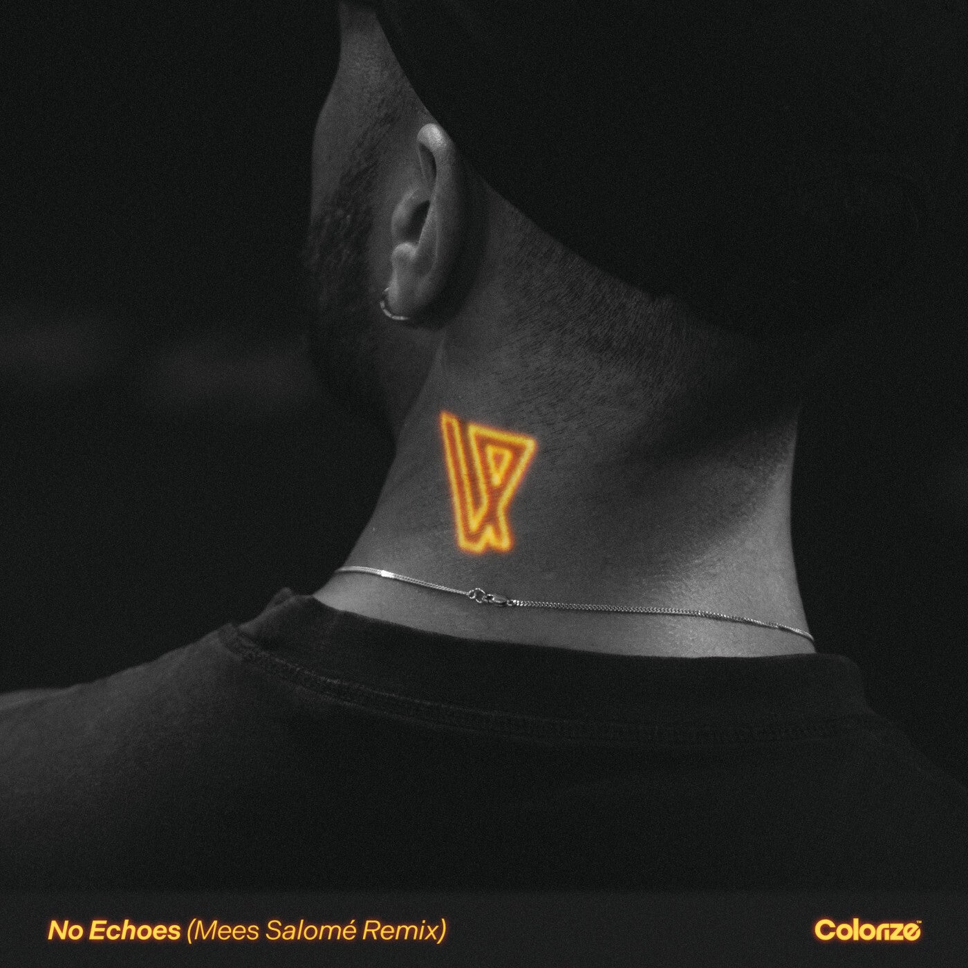 Cover - Estiva - No Echoes (Mees Salomé Extended Remix)