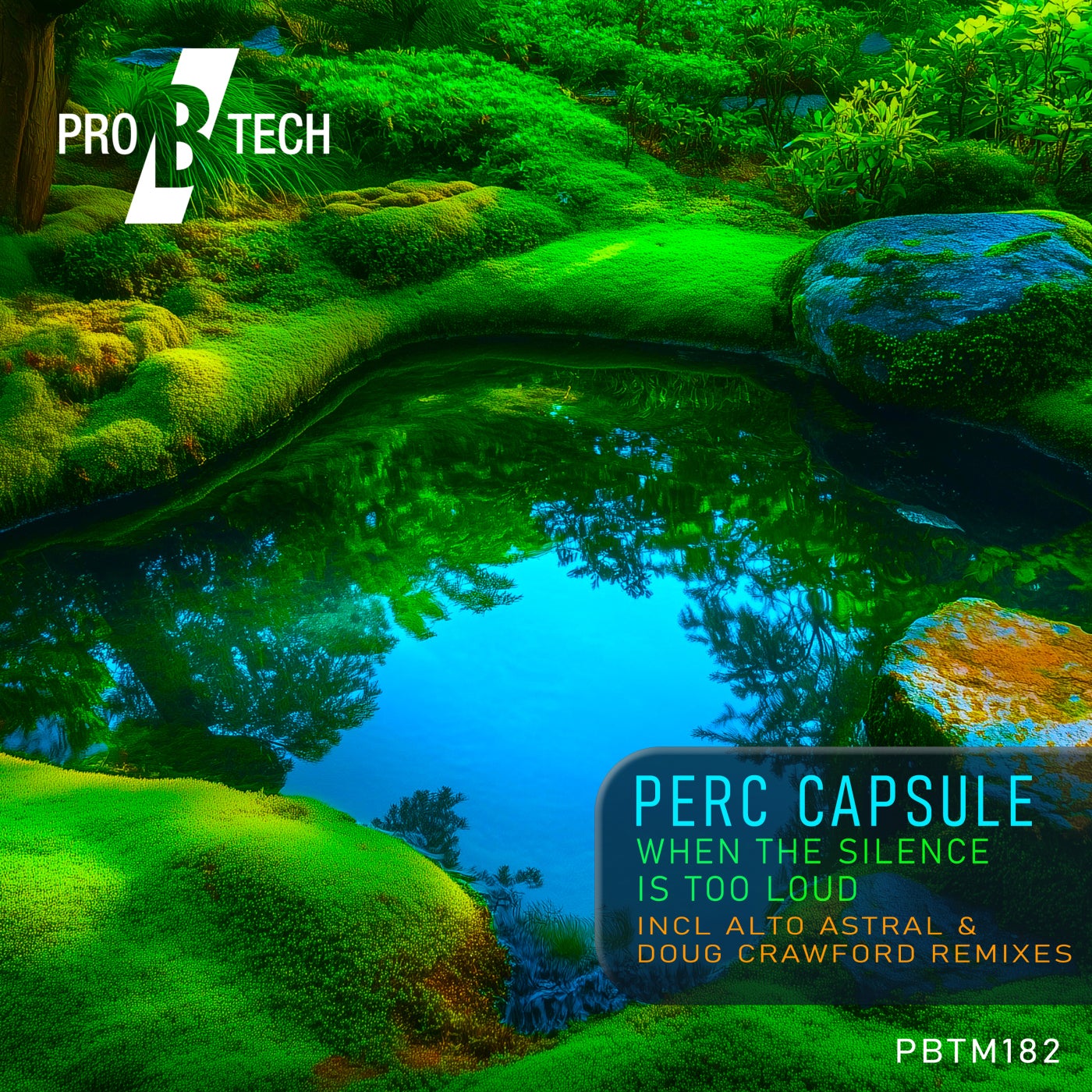 Cover - Perc Capsule - When the Silence Is Too Loud (Original)