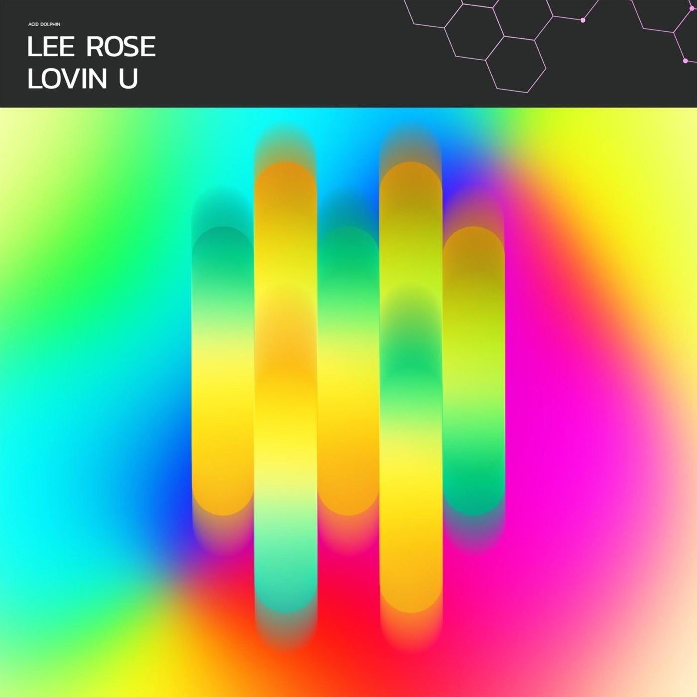 Cover - Lee Rose - Lovin U (Extended Mix)