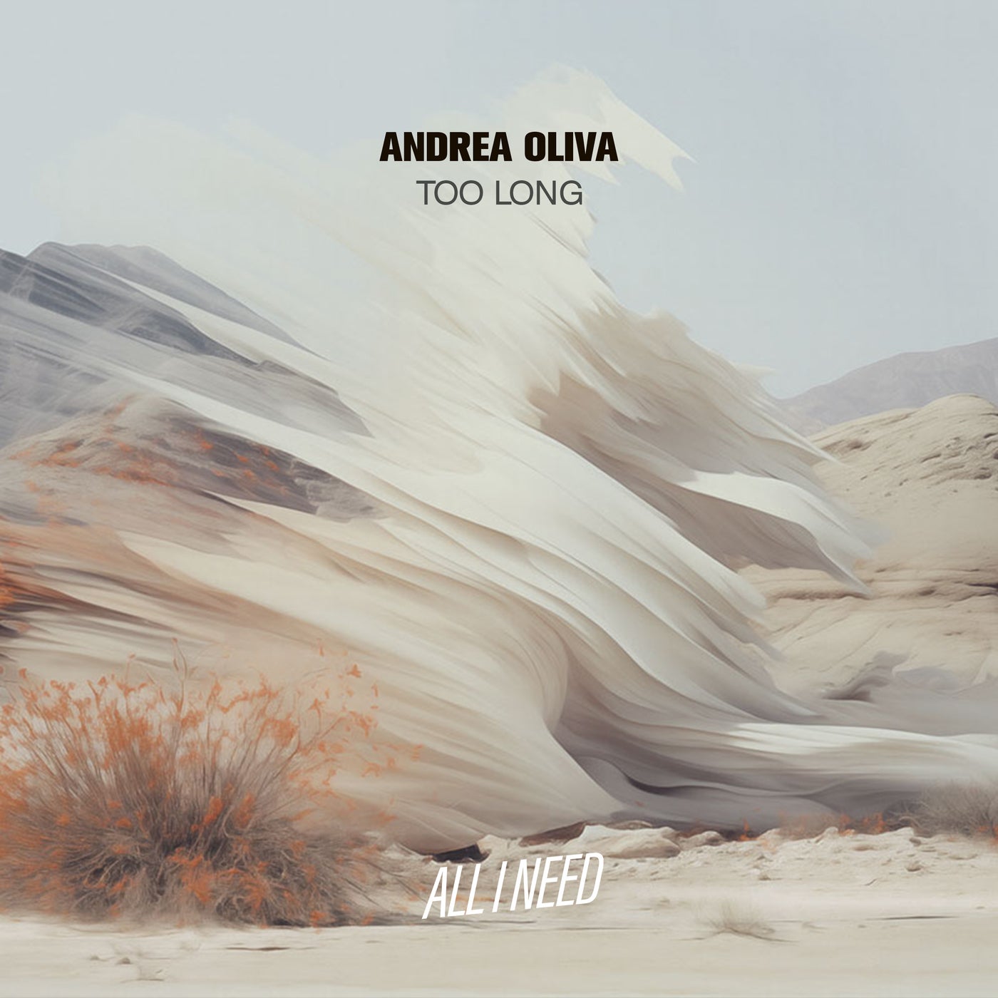 Cover - Andrea Oliva - Too Long (Extended Mix)