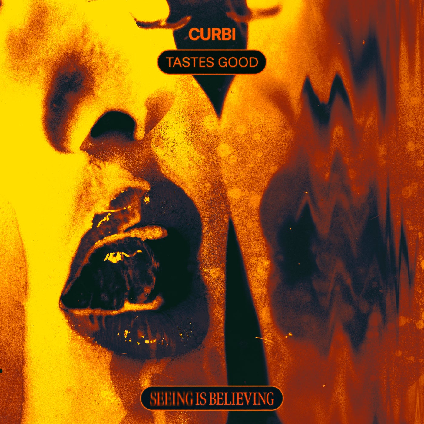 Cover - Curbi - Tastes Good (Original Mix)