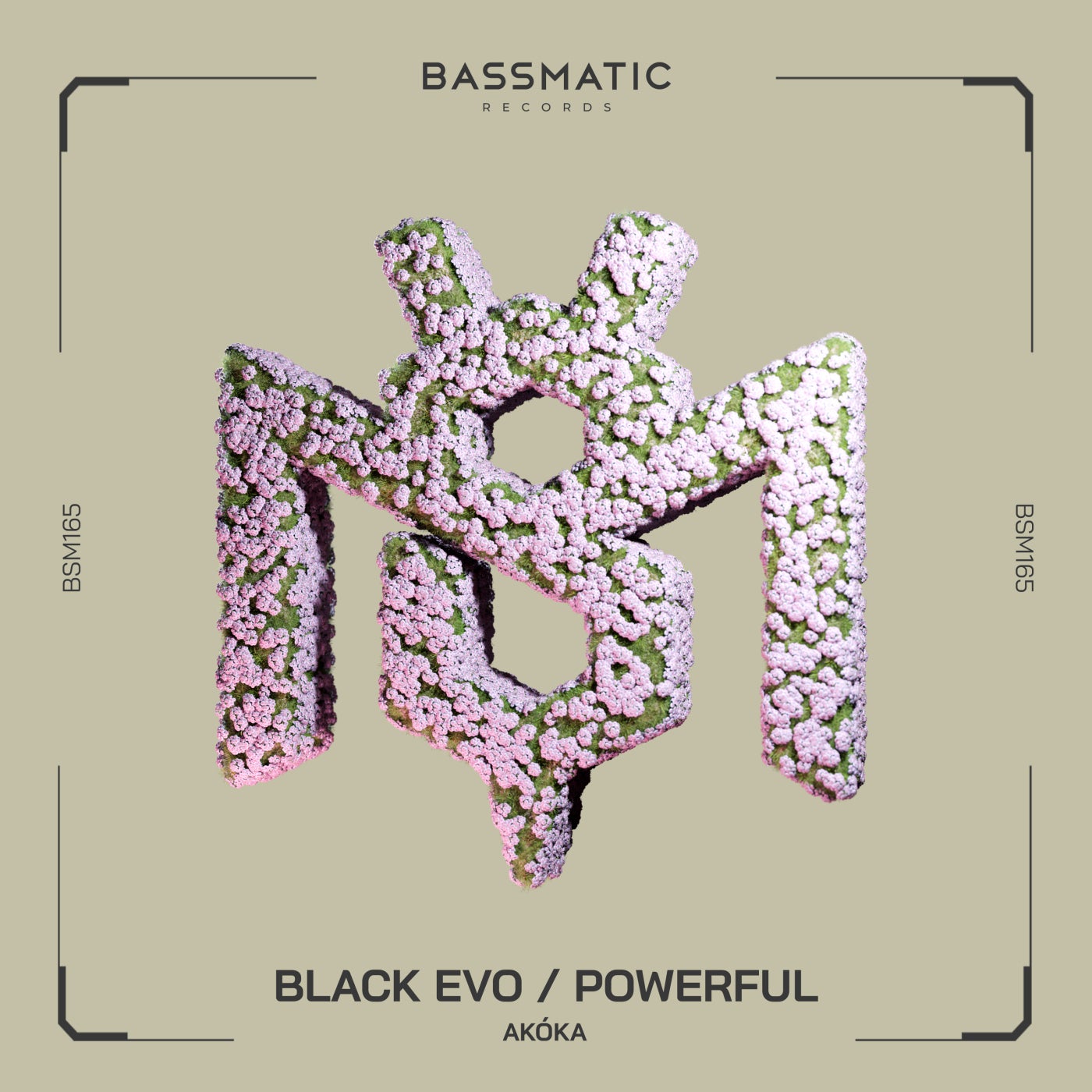 Cover - AKÓKA - Black Evo (Original Mix)