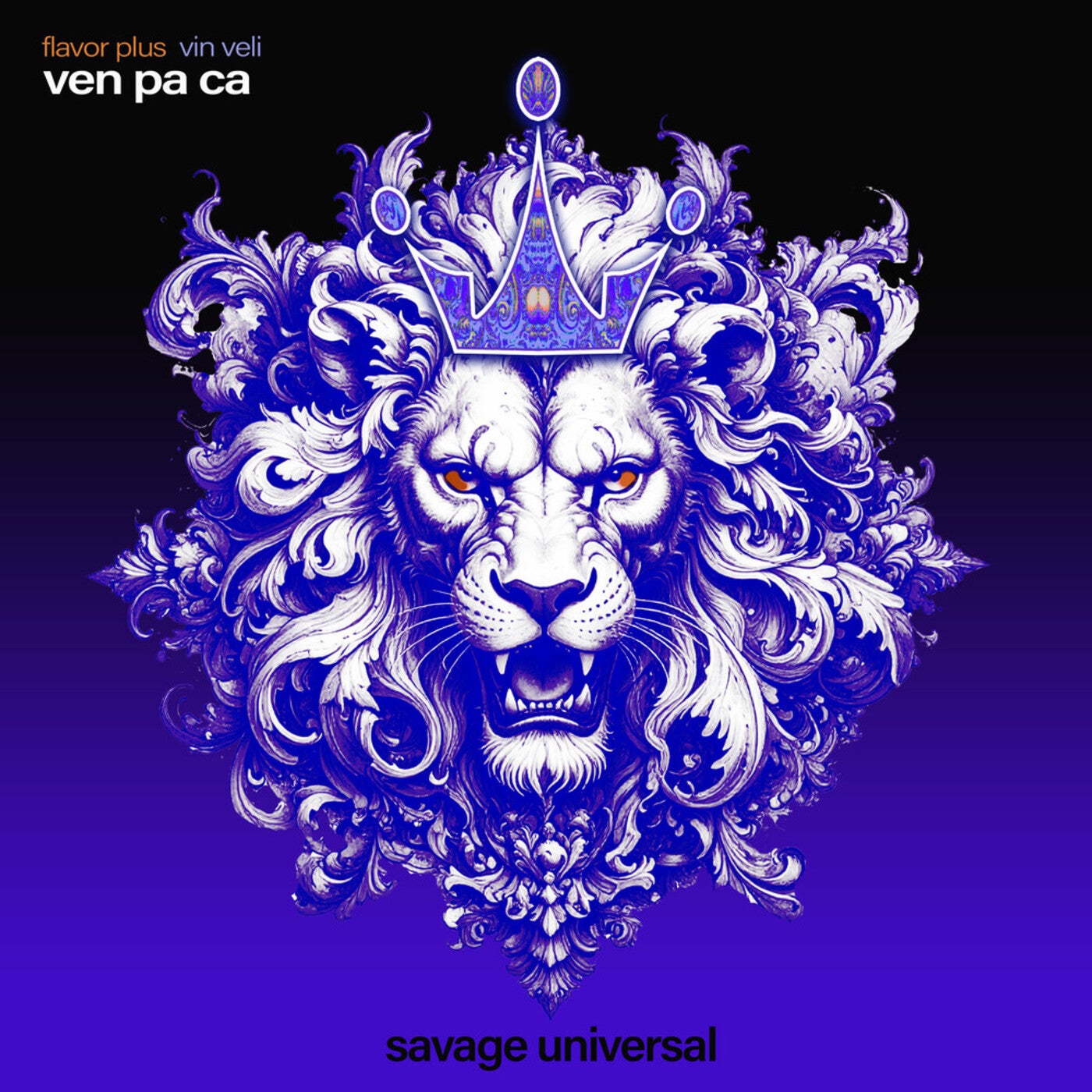 Cover - Vin Veli, Flavor Plus - Ven Pa Ca (Original Mix)