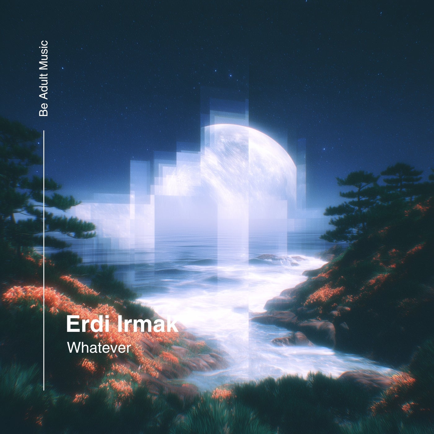 Cover - Erdi Irmak - Whatever (Original Mix)