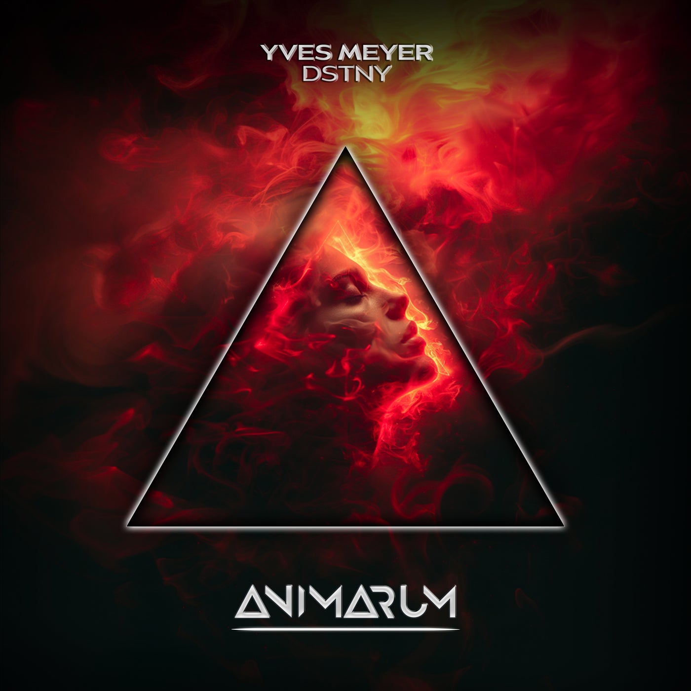 Cover - Yves Meyer - DSTNY (Extended Mix)