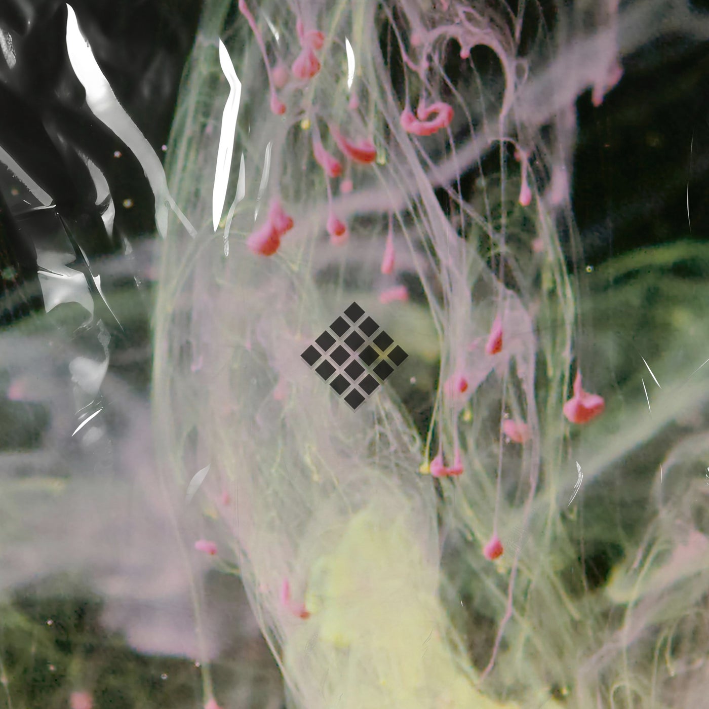 Cover - Stephan Zovsky - Chameleon (Extended Mix)