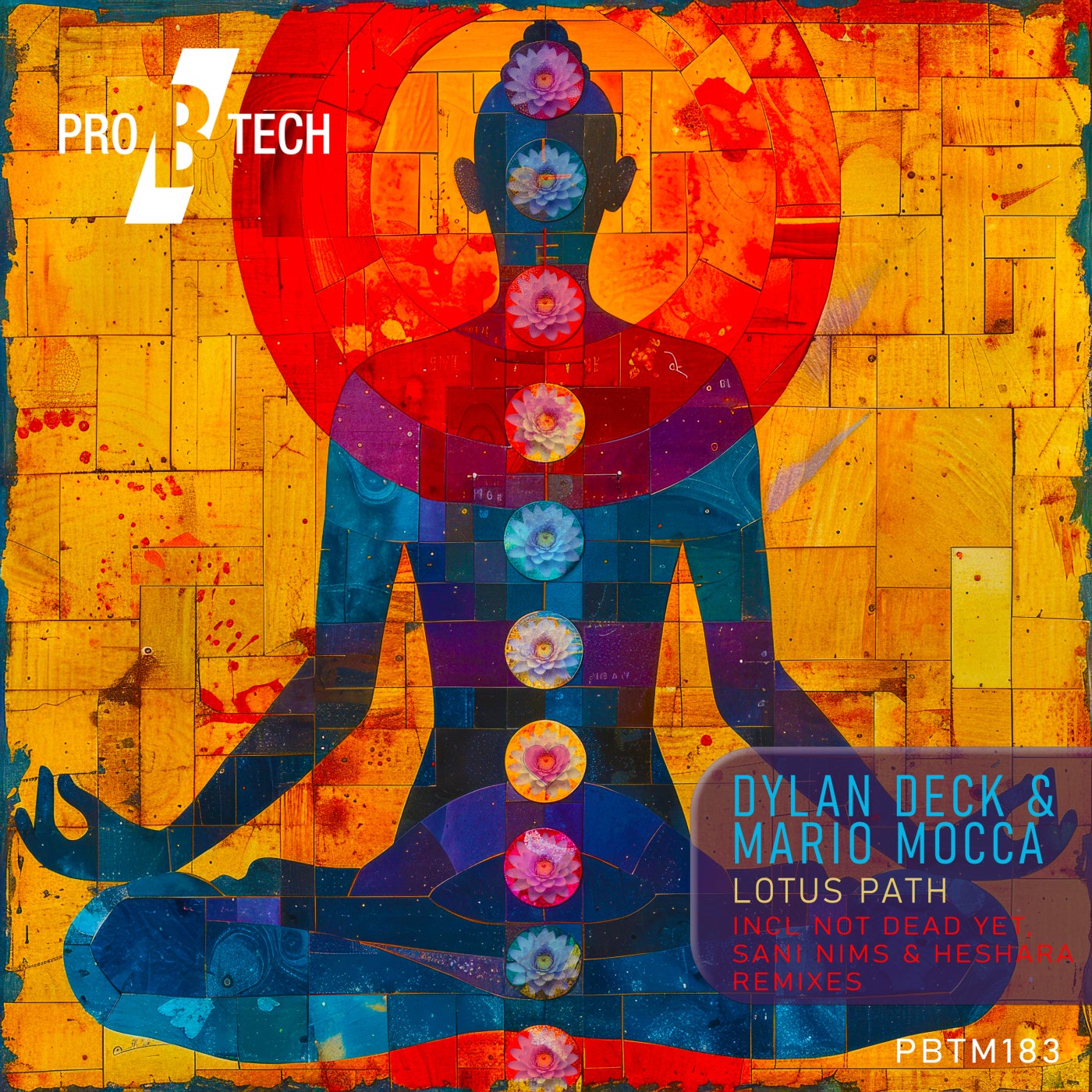 Cover - Dylan Deck, Mario Mocca - Lotus Path (Sani Nims & Heshara Remix)