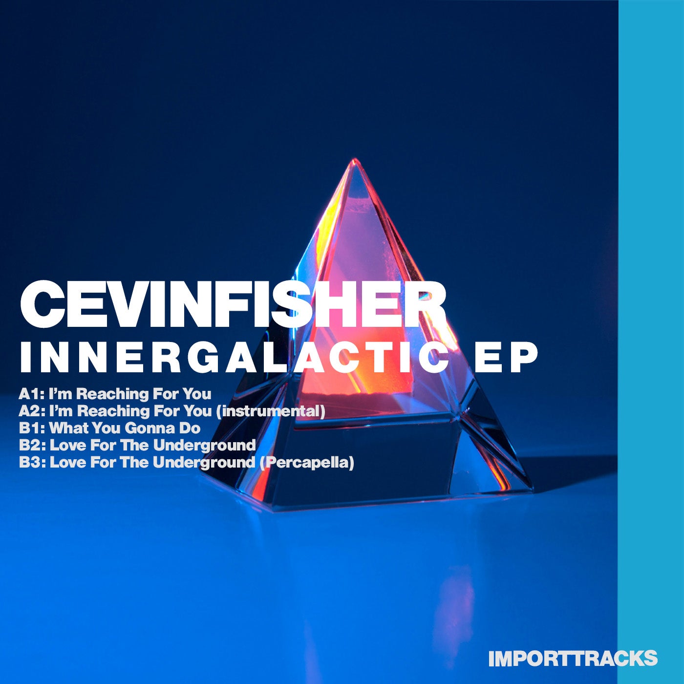 Cover - Cevin Fisher - What You Gonna Do (Original Mix)