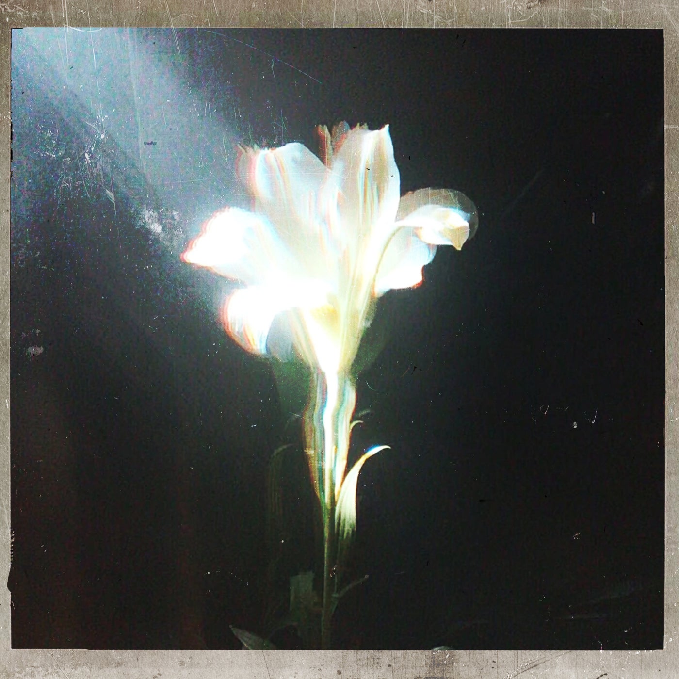 Cover - Netsky, Bebe Rexha - Light That Leads Me (Original Mix)