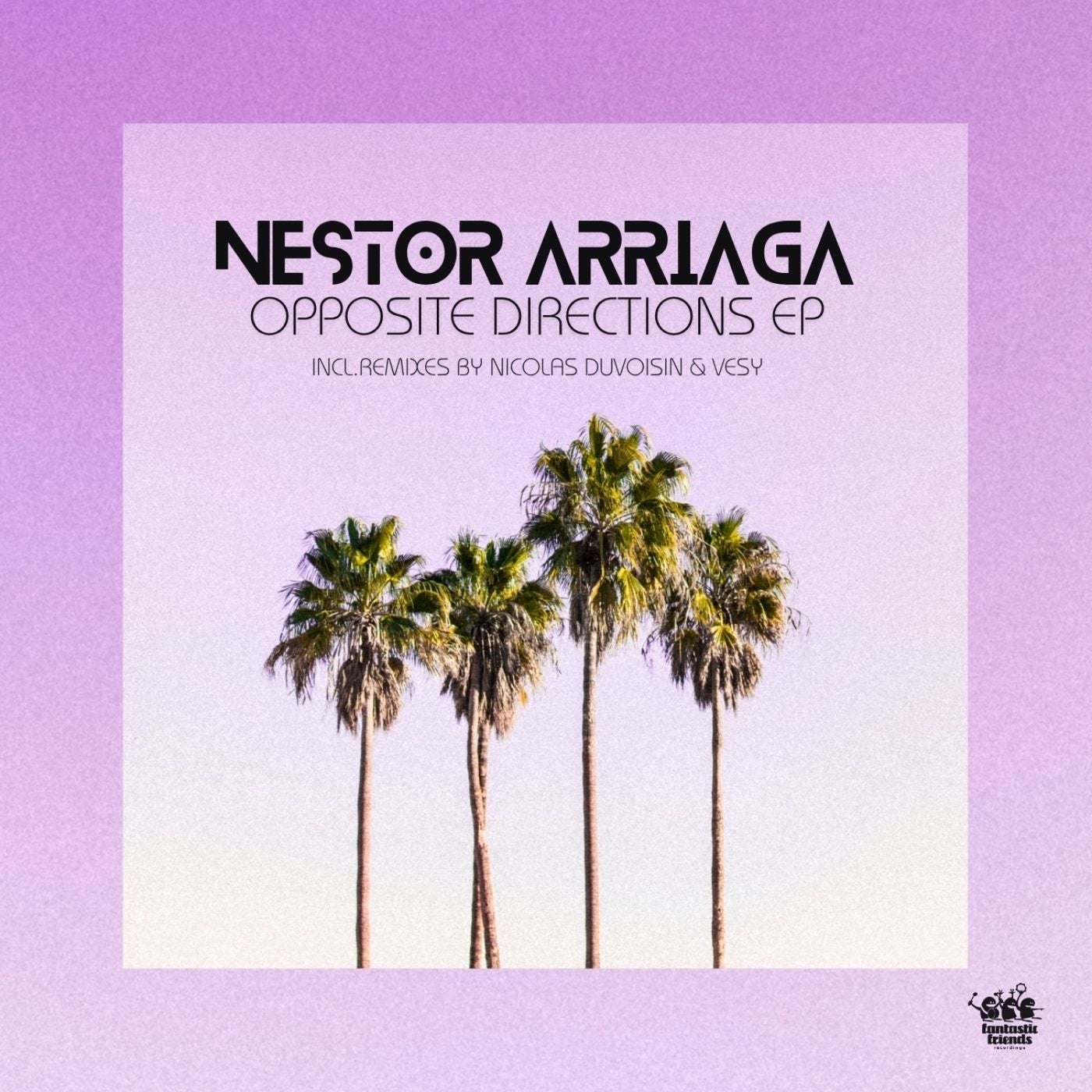 Cover - Nestor Arriaga - Opposite Directions (Nicolas Duvoisin Remix)