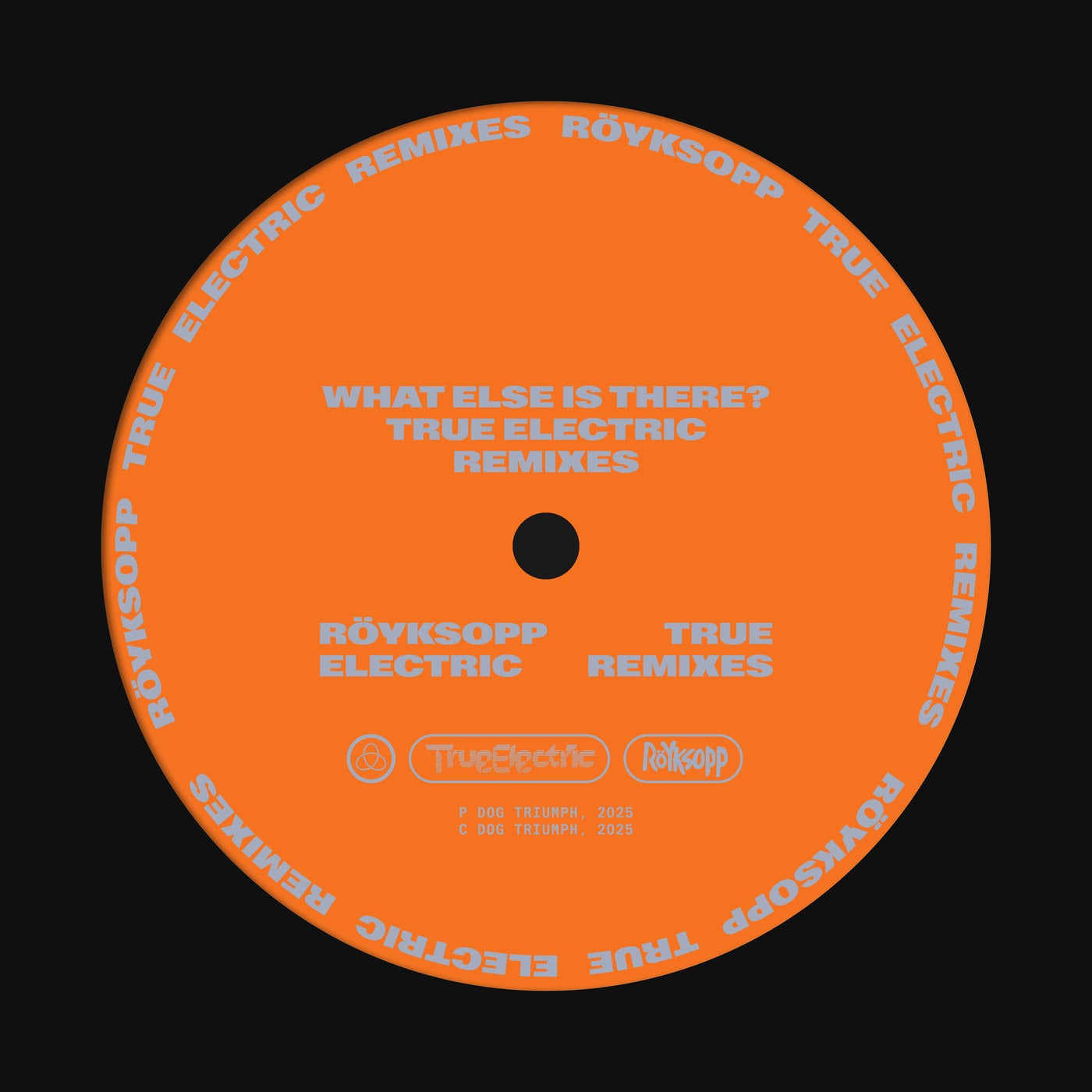 Cover - Royksopp, Fever Ray - What Else Is There? (feat. Fever Ray) (andhim Extended Remix)