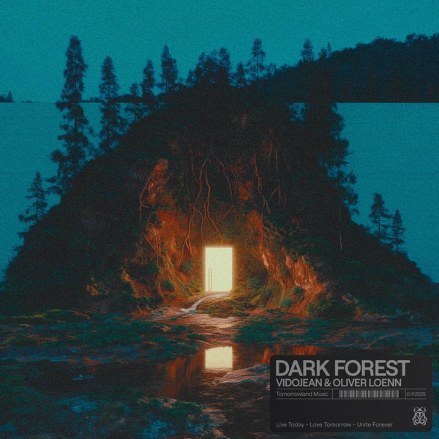 Cover - Vidojean X Oliver Loenn - Dark Forest (Original Mix)