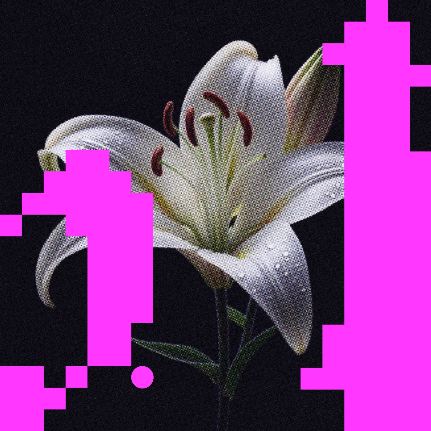 Cover - Panthera Krause, Island Hill - Landslide (Extended Mix)