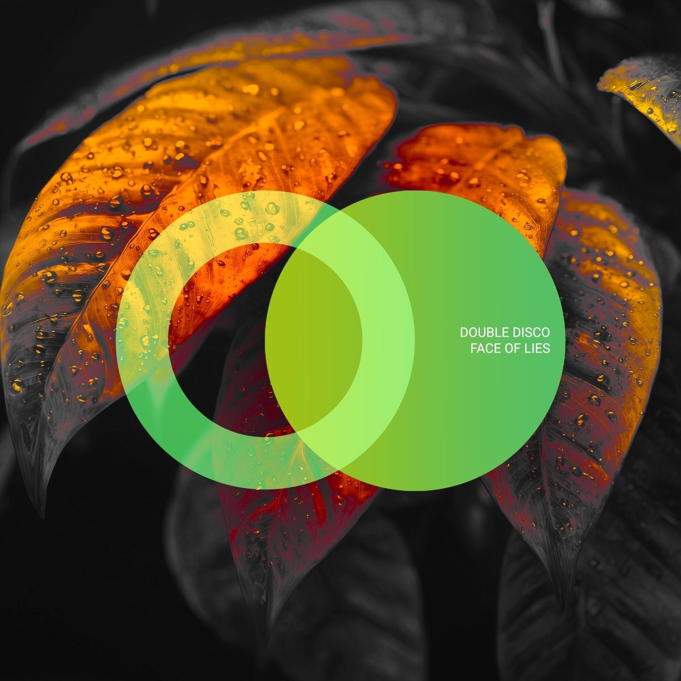 Cover - Double Disco - Without You (Original Mix)