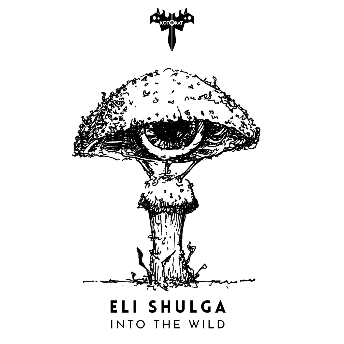 Cover - Eli Shulga - Into the Wild (Original Mix)