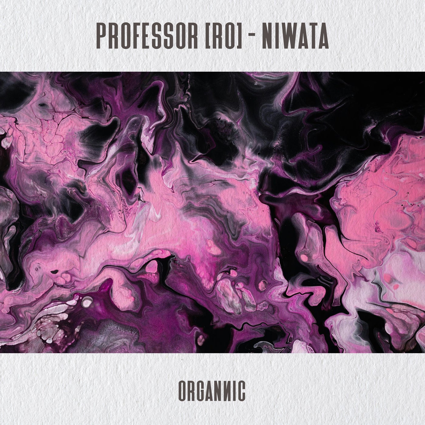 Cover - Professor (RO) - Niwata (Original Mix)