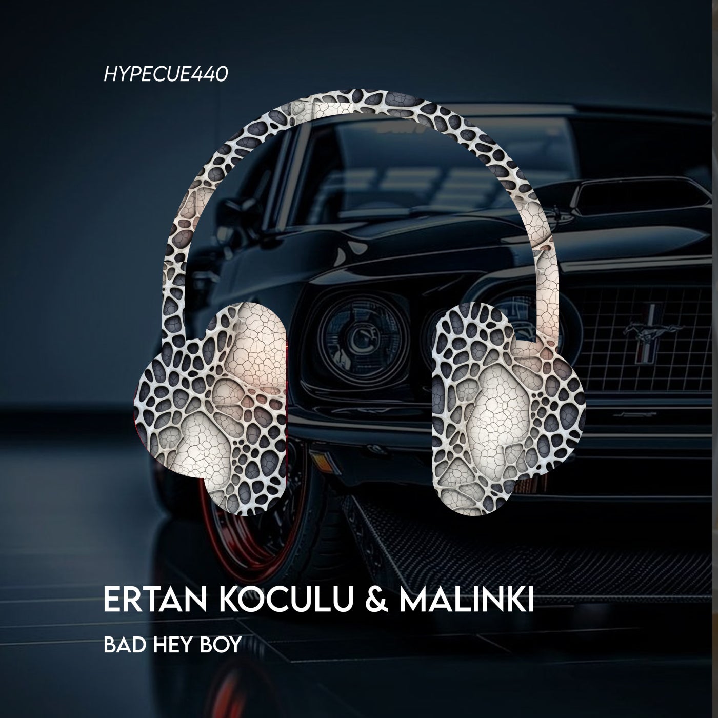 Cover - Ertan Koculu, Malinki (TR) - Bad Hey Boy (Original Mix)