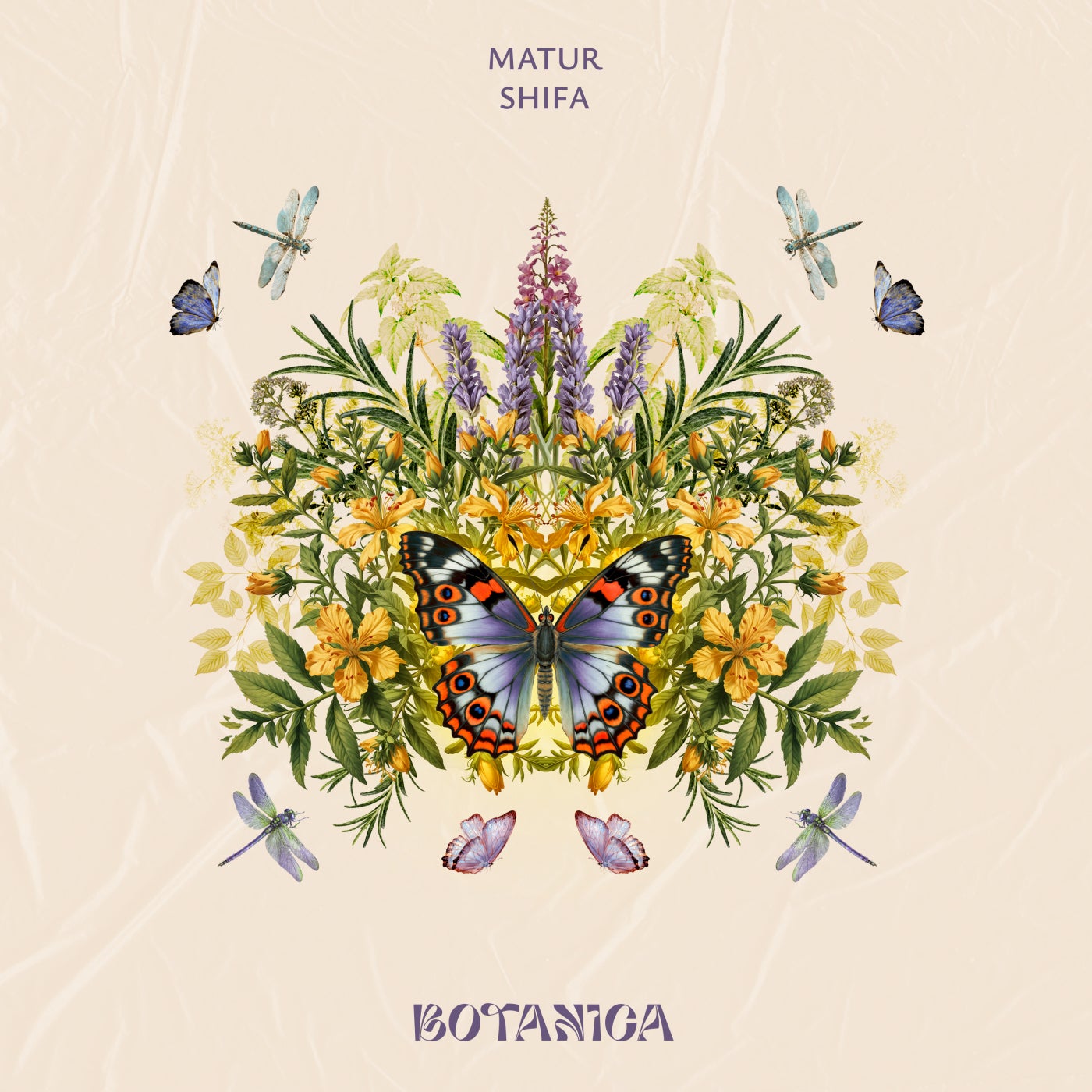 Cover - Matur - Shifa (Organic Mix)