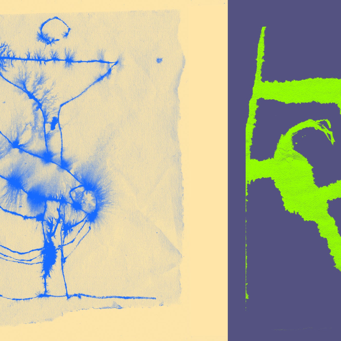 Cover - Monty DJ - Golden Bubbles (Warped Out Version)