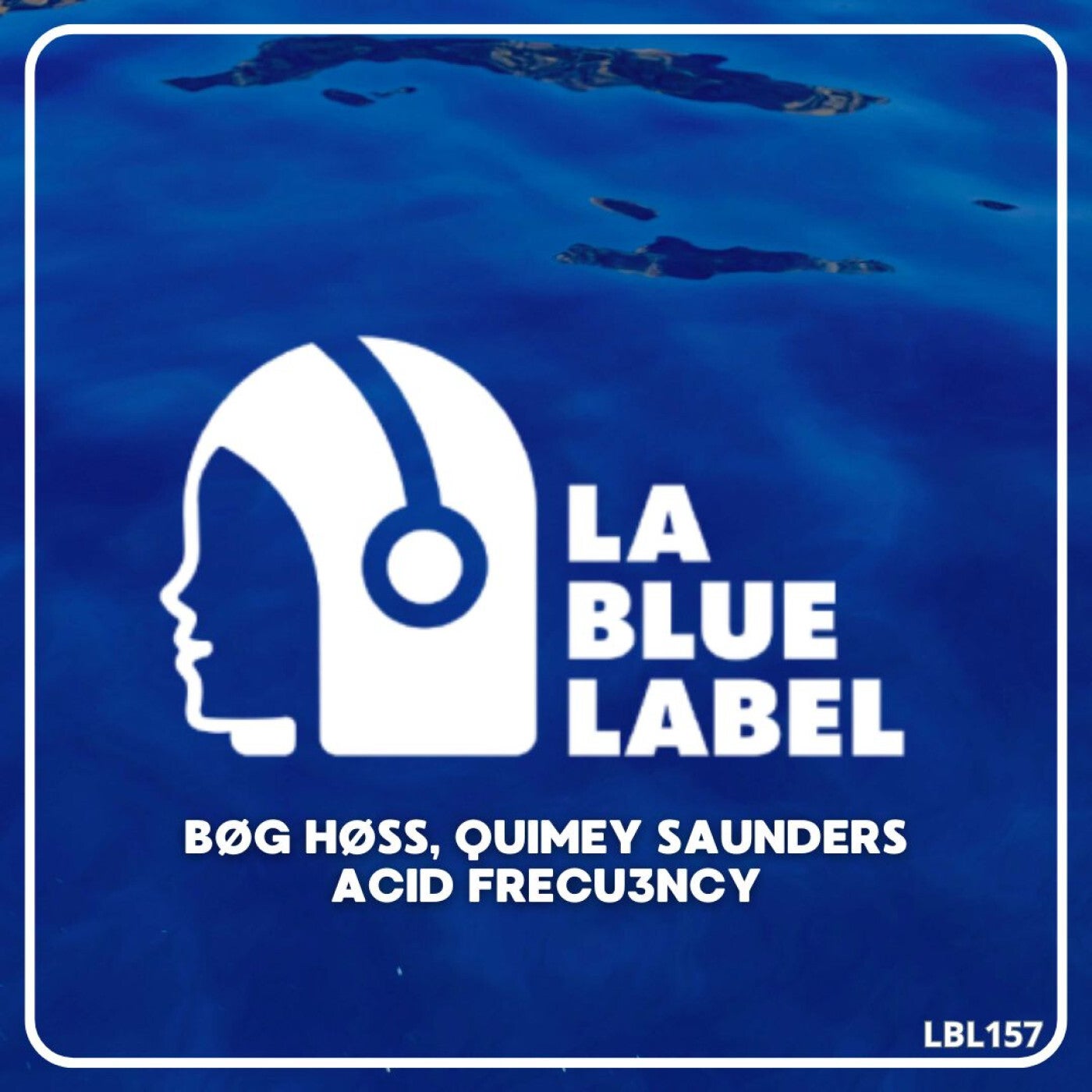 Cover - Bog Hoss, Quimey Saunders - ACID FRECU3NCY (Original Mix)