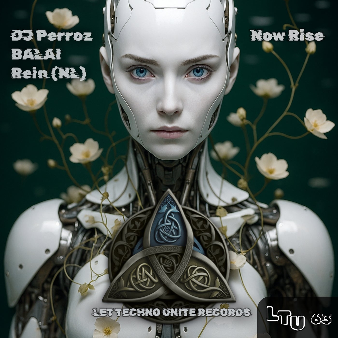 Cover - Dj Perroz - Now Rise (Original Mix)