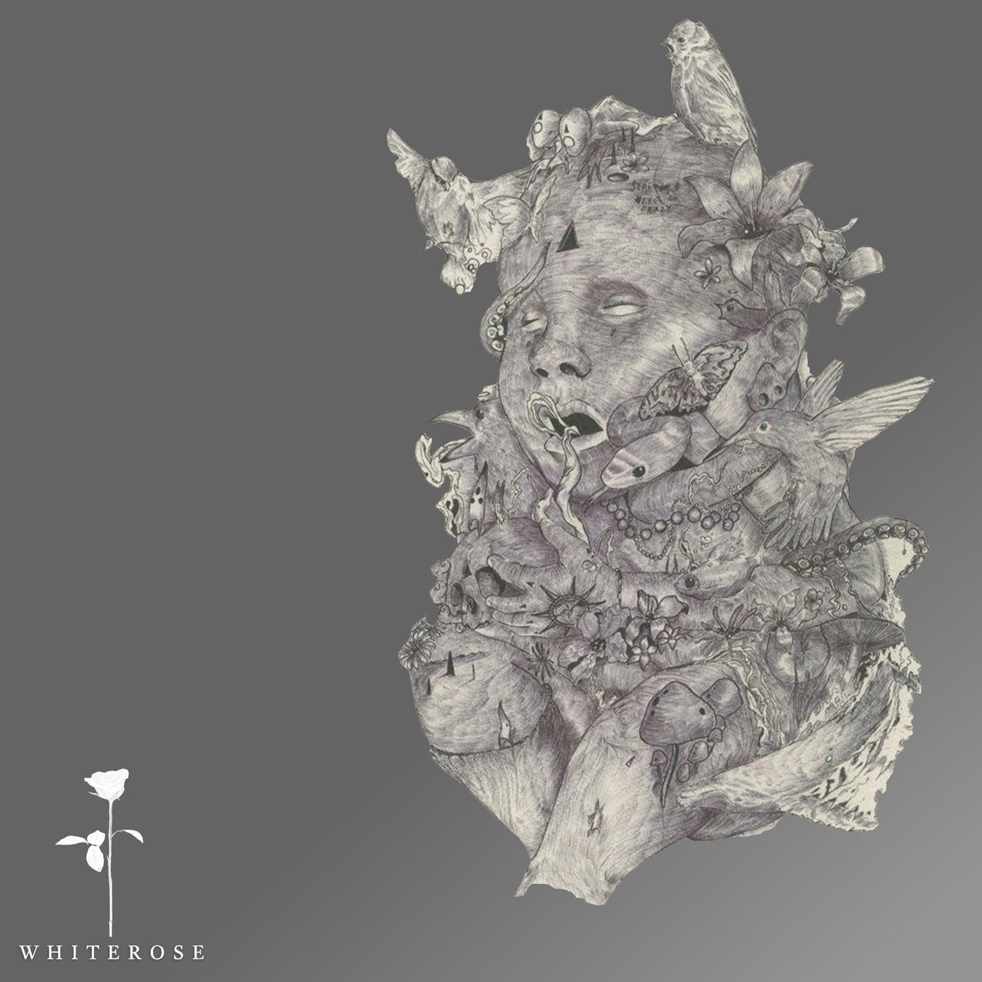 Cover - Luke Garcia, Blaymore - Ghost (Colossio Remix)