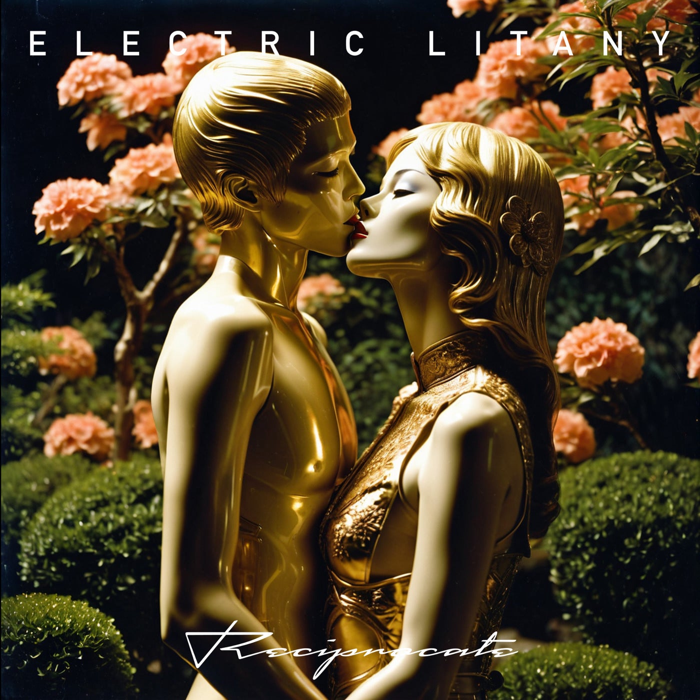 Cover - Electric Litany - Reciprocate (Original Mix)