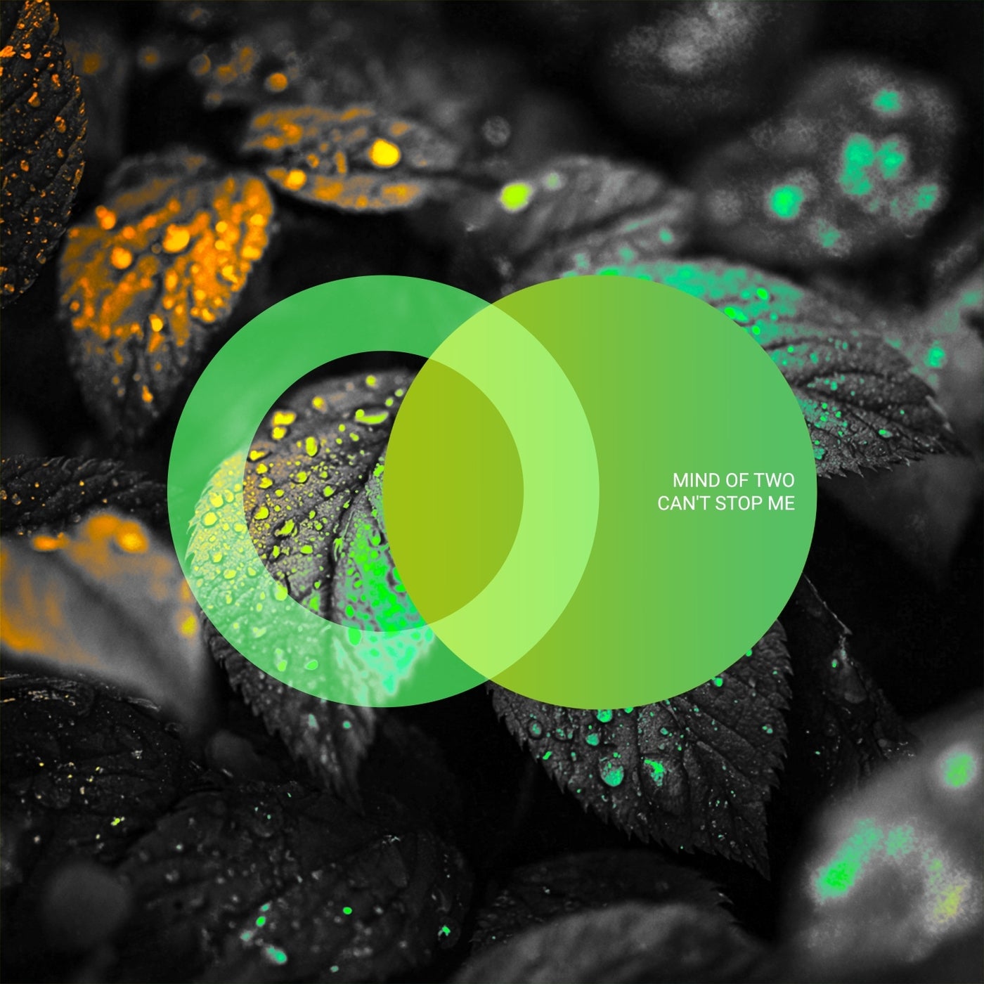 Cover - Mind Of Two - In the Dark (Original Mix)