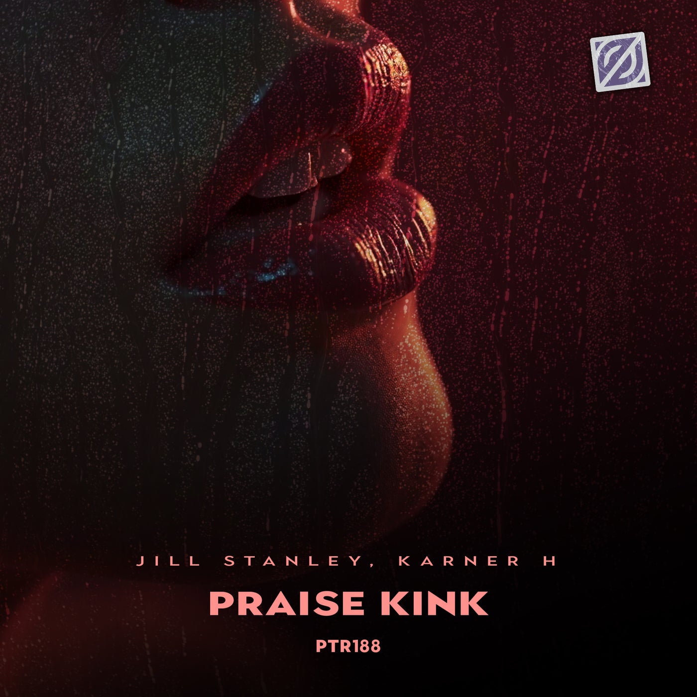 Cover - Jill Stanley, Karner H - Praise Kink (Extended Mix)