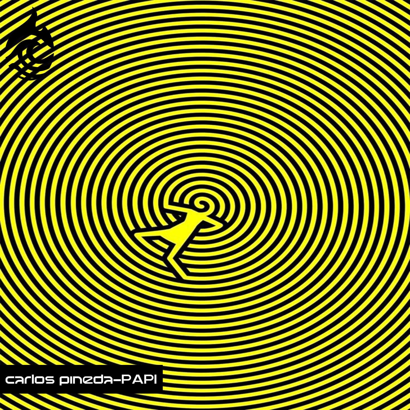 Cover - Carlos Pineda - Papi (Original Mix)