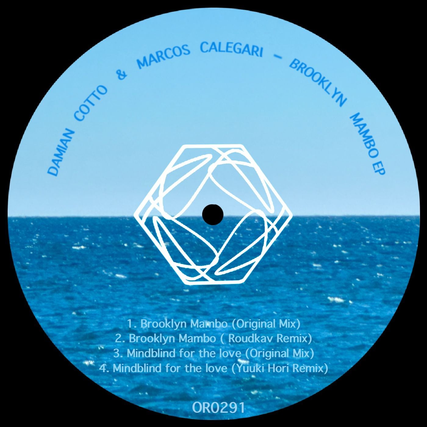 Cover - Damian Cotto, Marcos Calegari - Brooklyn Mambo (Roudkav Remix)