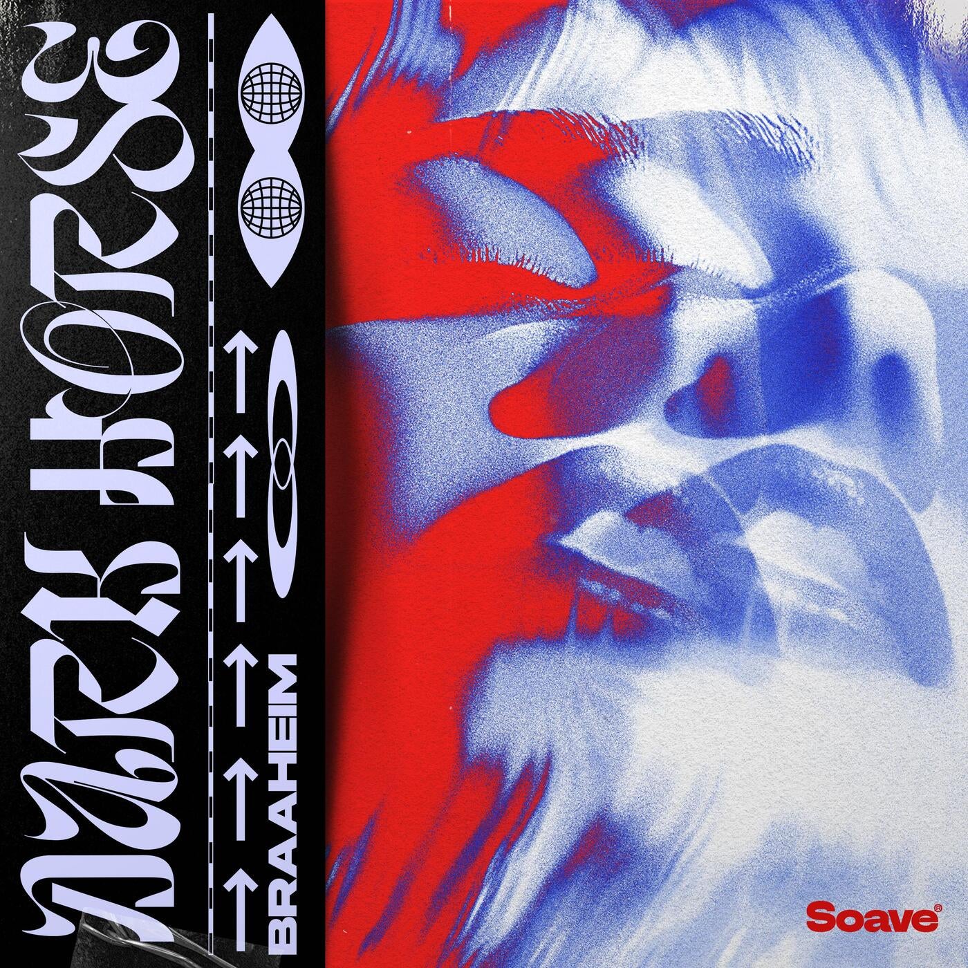 Cover - Braaheim - Dark Horse (Extended Mix)