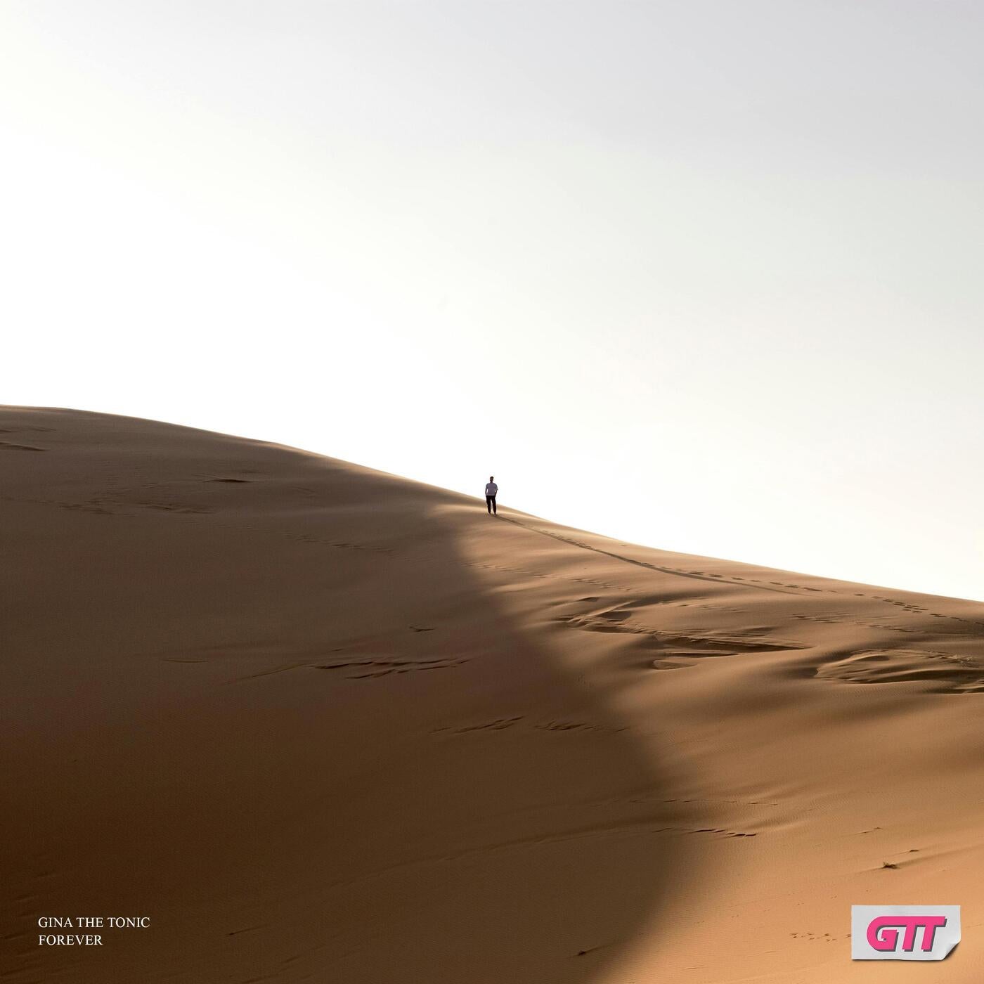 Cover - Gina the Tonic - Forever (Original Mix)