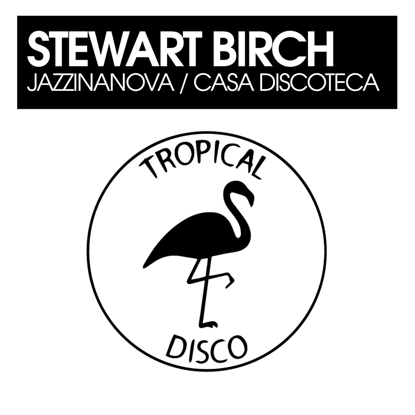 Cover - Stewart Birch - JazzinaNova (Original Mix)