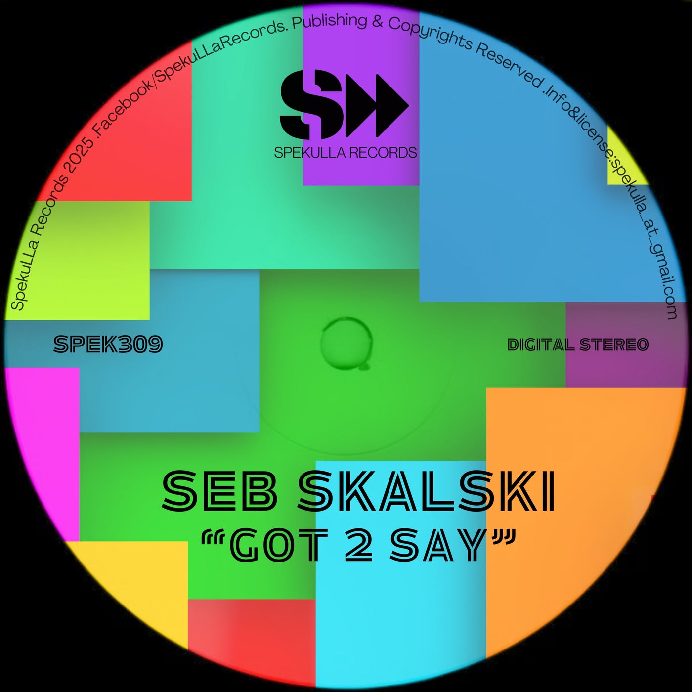 Cover - Seb Skalski - Got 2 Say (Original Mix)