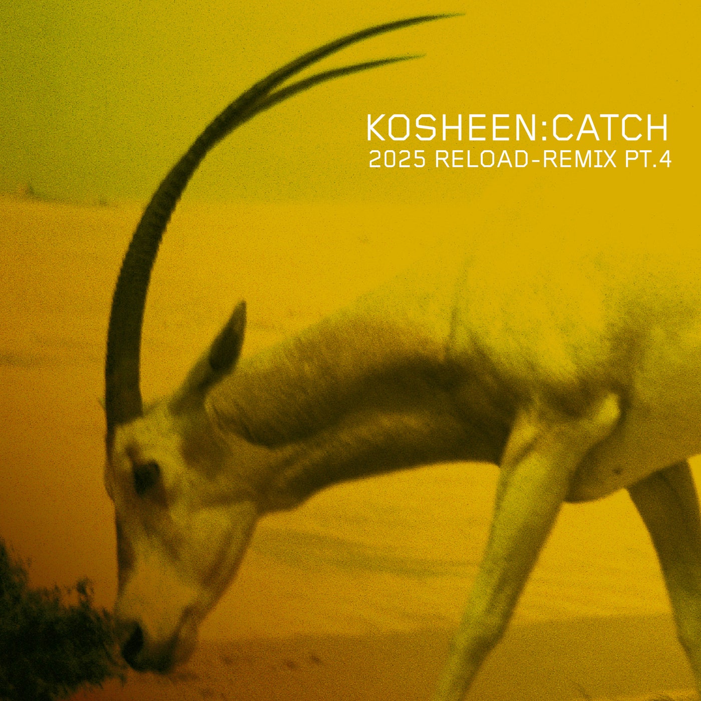 Cover - Kosheen - Catch (Adamon & Bella Kri Remix Medial Edit)